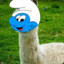 Smurfing Llama