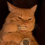 iced the fuck down orange cat