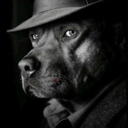 Where is el perro