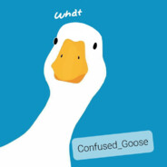 Confused_Goose