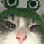 Tewkie