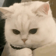 名字太难起不如别起