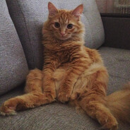 moks