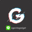 geirda.gadget