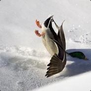 SILENCE!!!!!!!!!!!!!!