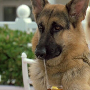 Размуть для начал