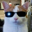 Zorah