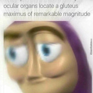 KvětináčLP