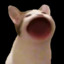 !w