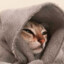 slepcats