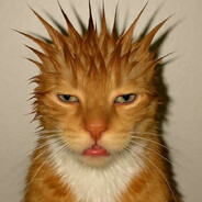 AMG - steam id 76561199237195786