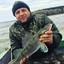Лемурчик