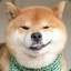 迷途小书童xz