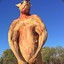 Roger The Kangaroo