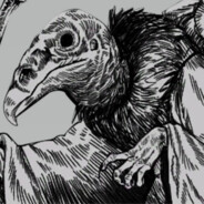 Vulture