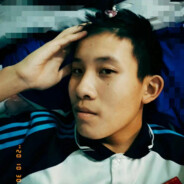 森林里的小毛球