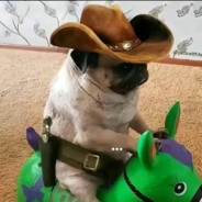 Solek_Mini - steam id 76561199705742497