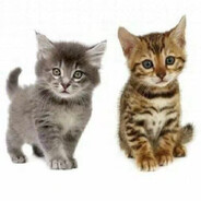 拳补老农民#7578