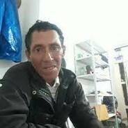 GATO CALVO