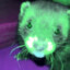 Greepio