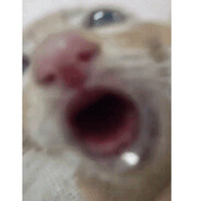 ✦Ciurny20✦skins.army