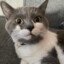 c.