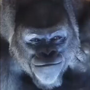 DrunkyMonkey