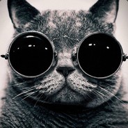 things change,roll with it