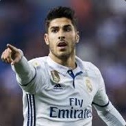 DogMal's Avatar