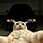 _s1lentoo_