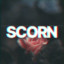 scorn