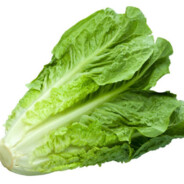 lechuga