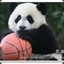 我就是骚包
