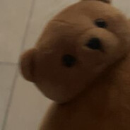 Brumii