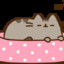 iampusheen