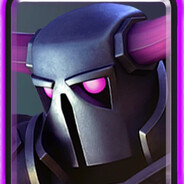 P.E.K.K.A.
