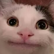 нi бiлуга 100%