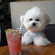 凌晨四点的飞机场