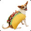 Taco Dog