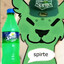 Kotyara