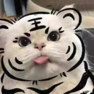 仙女的事你少管