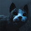 bbs's avatar
