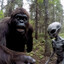 AI Bigfoot