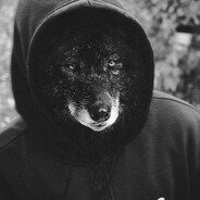 Задоджил аборт