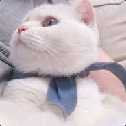 梦与孤独岂相连