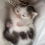 悄悄去冰岛烤鱼