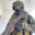 Shell Bullet || wohpico31