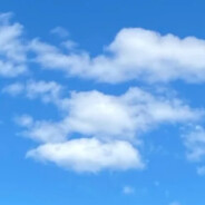 Skyguy avatar