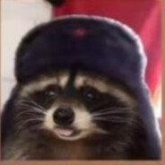 Robostar Steam avatar