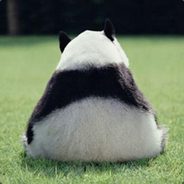 汉末魅魔白持元